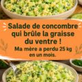 Salade de concombre fraîchement préparée avec des herbes