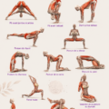 Illustration anatomique des poses de yoga décrivant les muscles sollicités