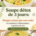 Un bol de soupe détox riche en légumes colorés et savoureux, parfait pour revitaliser le corps.