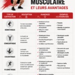 Illustration des différents types de contractions musculaires avec des mouvements illustrés