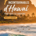 Plage de surf à Hawaï avec des vagues parfaites sous le soleil